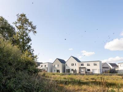 Vente Terrain CINTRE 35310