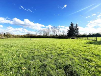 Vente Terrain MACON 71000