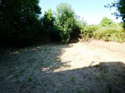 For sale House SILFIAC 