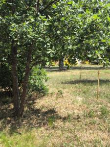 photo For sale Land BISCARROSSE 40