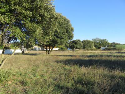 photo For sale House LAUDUN 30