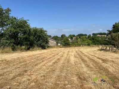 Vente Terrain CHATEAUNEUF-LA-FORET 87130