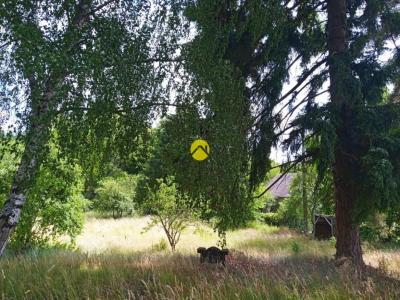 Vente Terrain BONNY-SUR-LOIRE  45