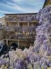 Apartment TOULOUSE 
