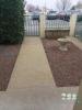 House NIORT 