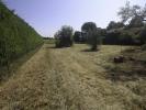 Annonce Vente Terrain Nachamps