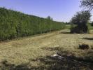 Acheter Terrain Nachamps Charente maritime