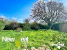 Annonce Vente 11 pièces Maison Landas