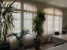 Acheter Immeuble Sable-sur-sarthe 115990 euros