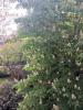 For sale Apartment Paris-16eme-arrondissement 75016 26 m2