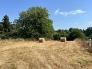 Annonce Vente Terrain Chateauneuf-la-foret