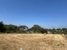 Acheter Terrain Chateauneuf-la-foret 16000 euros