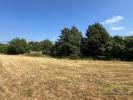 Acheter Maison Chateauneuf-la-foret 16000 euros