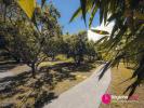 Annonce Location 3 pièces Appartement Possession