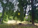 Vente Terrain Bonny-sur-loire 45