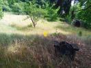 Acheter Terrain 1478 m2 Bonny-sur-loire
