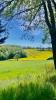 For sale House Toulouse CAMPAGNE 31000 50 m2 5 rooms