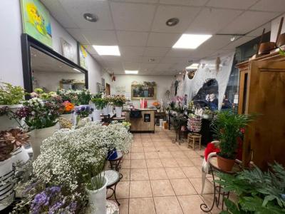 Vente Commerce NICE 06000