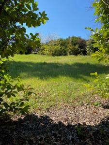 Vente Terrain BOURG-LES-VALENCE 26500