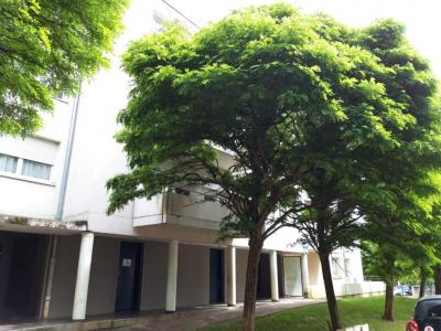 For rent Apartment NEUVES-MAISONS  54