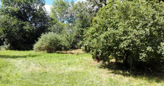 photo For sale Land NORGES-LA-VILLE 21