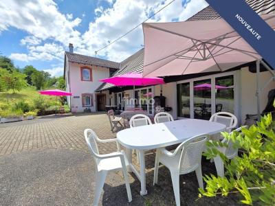 Vente Maison 14 pièces STORCKENSOHN 68470