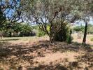 Acheter Terrain 735 m2 Sainte-cecile-les-vignes