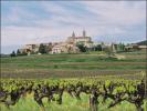 Vente Terrain Saint-alexandre 30
