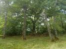 Annonce Vente Domaine forestier Oradour-sur-vayres