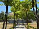 Acheter Maison Ruffec Charente