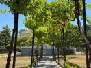 Acheter Maison Charente
