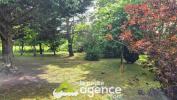 Acheter Terrain Dun-sur-auron 13500 euros