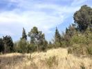 Annonce Vente Terrain Boutenac