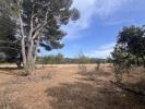 Acheter Terrain 4795 m2 Boutenac