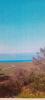Land SAINT-LAURENT-SUR-MER 