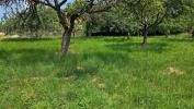 Annonce Vente Terrain Chapelle-blanche