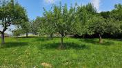 Acheter Terrain 924 m2 Chapelle-blanche