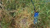 Acheter Terrain Chapelle-blanche 126990 euros