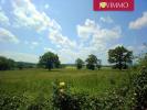 House BOUSSAC 