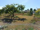 Vente Terrain 79