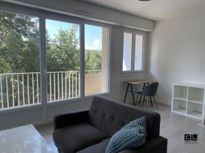 photo For rent Apartment LYON-7EME-ARRONDISSEMENT 69
