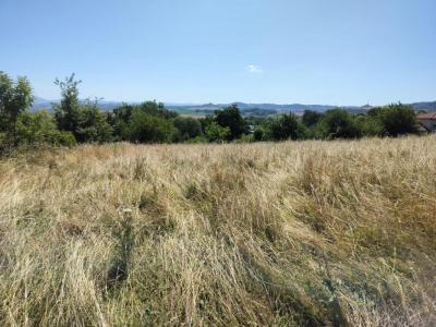 Vente Terrain SAINT-JULIEN-DE-COPPEL 63160