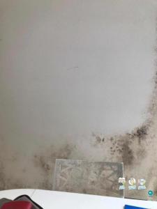 Location Appartement 5 pièces VANVES 92170
