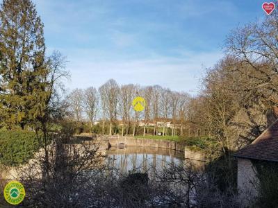 For sale House SANCOINS