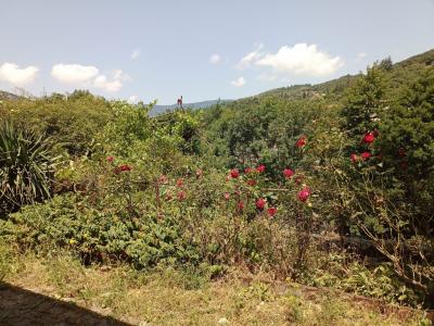 Vente Maison 3 pièces SAINT-PONS-DE-THOMIERES 34220