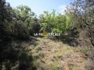 Annonce Vente Terrain Rians