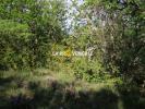 Acheter Terrain 20770 m2 Rians