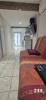 Location Appartement Perpignan 66