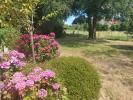 House FAUVILLE-EN-CAUX 