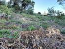 Acheter Terrain Mandelieu-la-napoule 620100 euros